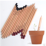 创意生日礼物新奇特实用种子铅笔可种植的铅笔送男生女朋友小礼品