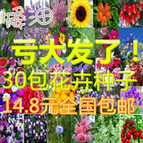 【天天特价】30个品种花卉种子套餐包邮四季易种阳台盆栽花种花籽