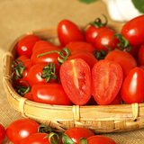 新鲜特级红色圣女果小番茄小西红柿子 农庄新鲜水果 500g同城包邮