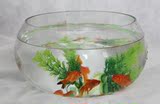透明30半圆形玻璃鱼缸金鱼缸乌龟缸水培花瓶水仙花瓶生态创意鱼缸