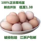 苏北正宗散养草鸡蛋50枚/69元土鸡蛋月子蛋笨鸡蛋野鸡蛋柴鸡蛋