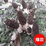 四川 土特产 农产品 干货 羊肚菌 菇 散装50g特价包邮