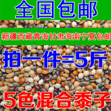 黑白红黄青黍子/5种混合 虎皮牡丹鹦鹉混合鸟食饲料鸟粮包邮 5斤