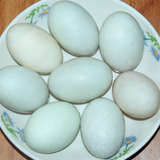 3月新蛋30枚山东咸鸭蛋微山湖盐鸭蛋更优质高邮特产正宗蛋黄流油