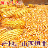 2015农家散装有机玉米粒粗粮干玉米粒 笨玉米可喂鸡饲料黄玉米粒