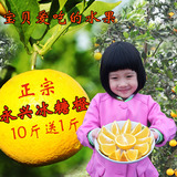 橙子11斤正宗永兴冰糖橙原产地直供宝贝爱吃新鲜水果湖南特产包邮