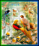 2008-4 中国鸟(T) 小型张 小全张 邮票/集邮/收藏