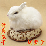 仿真动物 儿童毛绒玩具 兔子模型 可爱小白兔子 正品 动物玩偶