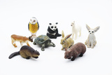 仿真动物模型玩具摆件 孩子认知动物老鹰熊猫 猫头鹰乌龟兔子狐狸