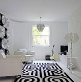 时尚欧式中式黑白宜家地毯客厅茶几沙发卧室床边书房手工地毯定制