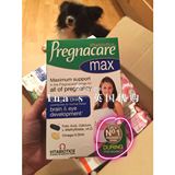 【英国代购】Pregnacare Max叶酸片 孕妇 DHA鱼油+钙 复合维生素