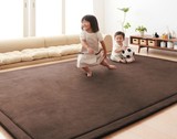 出口 珊瑚绒面地毯 日式地毯榻榻米床垫子 卧室客厅 加厚地垫