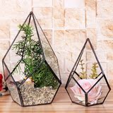 玻璃罩几何摆件 创意饰品多肉植物微景观永生花房工艺生态瓶礼盒