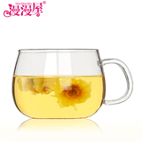 漫漫屋玻璃水杯品茶杯子透明耐热咖啡杯创意花茶杯子柠檬杯早餐杯