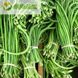 麟海蔬果 杭州同城配送 新鲜蔬菜绿色无公害长豇豆 豆角500克
