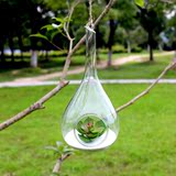 悬挂玻璃球 空心植物吊瓶水滴花瓶玻璃工艺品 创意家居房间挂饰品