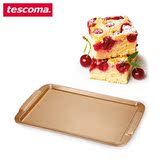 捷克tescoma正品 家用烤盘 烤箱专用长方盘模具 铸铁烧烤烘焙工具