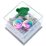 苔藓小熊永生花礼盒不凋谢的玫瑰保鲜花送女友生日情人节花束