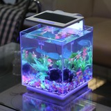森森迷你小鱼缸小型水族箱超白玻璃创意生态金鱼缸热带鱼乌龟缸