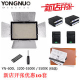 永诺YN600L摄影摄像灯LED微电影 人像外拍棚拍打光补光灯 套装
