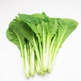 【燎原特惠】新鲜 小白菜 绿色种植绿色无公害蔬菜新鲜青菜顺丰