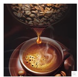 特价 意大利咖啡豆原装进口 香浓 现磨咖啡粉 454g 意式 新鲜烘焙