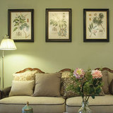 美式乡村挂画植物花卉客厅装饰画有框实木家具饰品三联画餐厅壁画