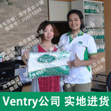 泰国代购Ventry乳胶枕头枕芯保健颈椎枕头纯天然橡胶枕头PT3