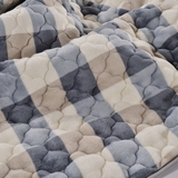 绒加绒双人双层法拉绒毯子冬季加厚法兰绒铺床毛毯子床单单件珊瑚