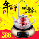 艾玛诗 1900-CS电陶炉茶炉泡茶电磁炉煮茶器铁壶家用迷你自动上水
