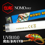 爬虫箱陆龟箱子紫外线UVB10.0灯管爬虫药品蜥蜴鬃狮沙漠灯