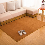 加厚珊瑚绒地毯客厅茶几地毯卧室床边毯满铺榻榻米垫防滑吸水地毯
