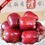新鲜水果花牛苹果 红元帅 蛇果超甜好吃的礼县苹果 特价批发