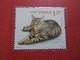 2013-17◆（4-1）猫 中国狸花猫 散票