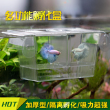 鱼缸多功能繁殖盒亚克力小型热带鱼孵化器水族箱鱼病隔离盒孵化盒