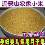 农家小黄米新小米 杂粮农家自产小米杂粮自产粮食黄小米月子米