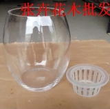 出售水培花卉玻璃容器 鹅蛋玻璃花瓶 绿萝吊兰花瓶 买就送定植篮