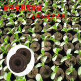 蔬果育苗块基质压缩泥炭土菜苗营养钵阳台苗木种植花泥土新手必备