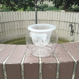 珧珧园艺 圆形塑料透明水培花盆花瓶 小型鱼缸 水生植物盆 定植篮