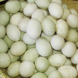 新鲜鸭蛋 苏北农家散养淡水绿皮鸭蛋 20枚装 江浙沪皖包邮