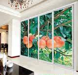 定做瓷砖贴 玻璃门贴膜 拉门窗花 磨砂膜墙贴 透明玻璃贴膜 水果