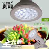LED植物生长灯 补光灯 多肉植物 蔬菜花卉室内种植专用补光灯