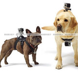 gopro Hero4/3+/3/2狗带 宠物狗狗胸带 胸前运动相机固定背带肩带