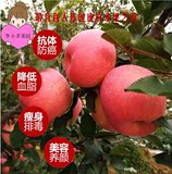 山东烟台红富士苹果75-80  5斤新鲜水果 八省包邮 李小多果园直销