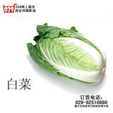 【029网上超市】新鲜蔬菜大白菜 生态蔬菜 大白菜3.8斤左右同城配