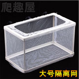 鱼苗隔离网 斗鱼盒 养鱼孵化盒 鱼缸隔离箱 水族箱繁殖盒 幼鱼盒