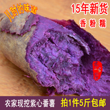 老品种小紫心薯番薯生紫薯越南紫薯地瓜 农家自种新鲜紫薯500克
