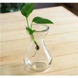 园艺用品 玻璃瓶 玻璃容器 风信子/郁金香水培专用 水培玻璃花瓶