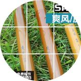 日本原装进口正品SHIMANO禧玛诺爽风鲤硬调4.5/5.4/6.3米台钓鱼竿