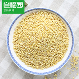 【誉福园】农家高山种植小米 小黄米 五谷杂粮 粗粮 350g*3包邮